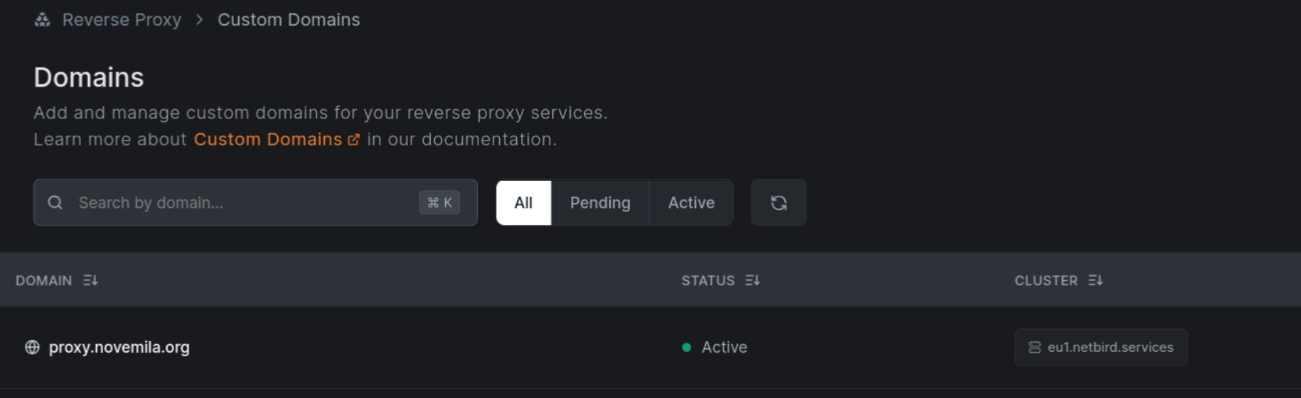 active-custom-domain