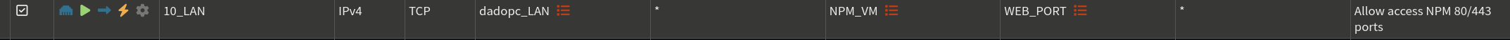 allow-access-npm-vm-web-ports